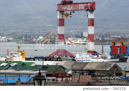 Hakodate walk / Hakodate dog 560310