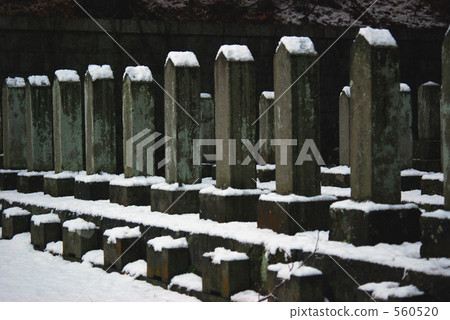 Walking in Hakodate · Gokoku shrine 560520