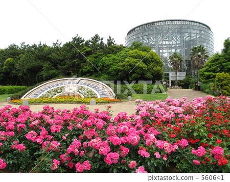 千葉市鮮花博物館 560641