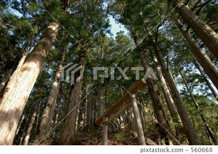 通往山頂的道路 560668