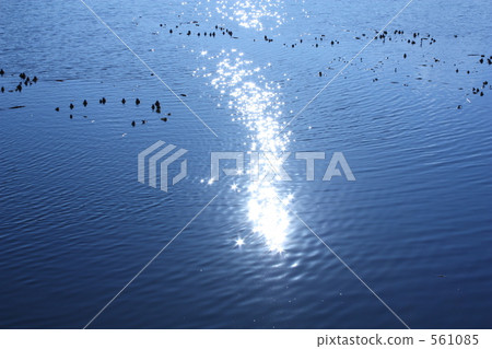 dazzling, pond, lagoon 561085