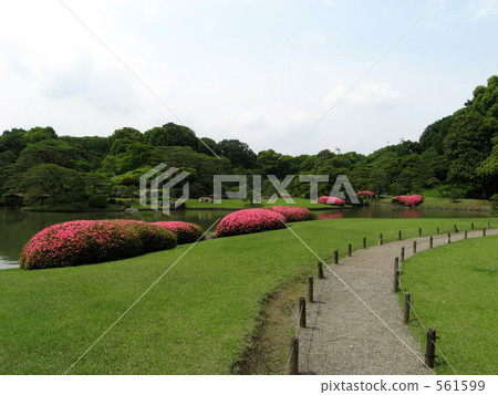 Rokugien的杜鵑花 561599