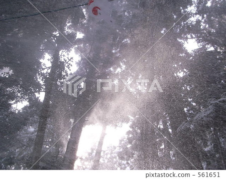 Wind and snow 561651