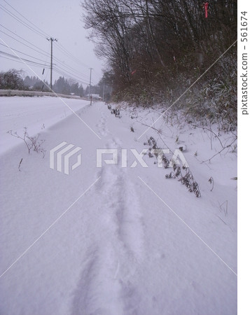 在積雪的路的腳印 在積雪的路的腳印 561674