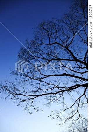 天空在年底 561717