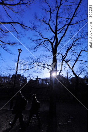 走進井之頭公園 走進井之頭公園 562285