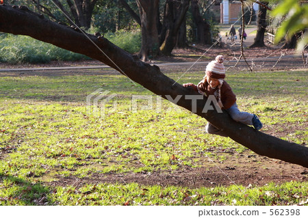 Children climbing trees 562398