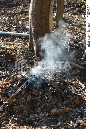 篝火 562452