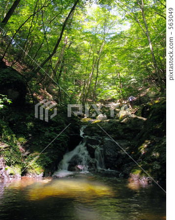 山流小河釣魚以鮮綠色 563049