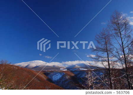 八甲田雪景 563706