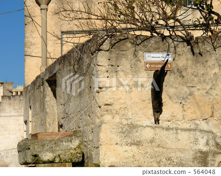 一個決定性的時刻 564048