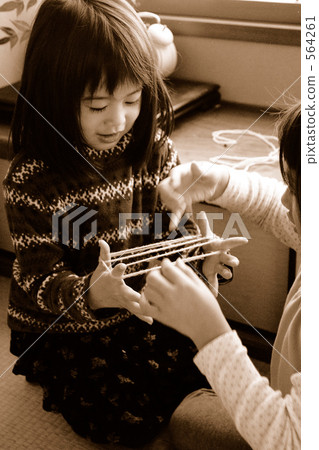 貓咪的搖籃 烏賊 玩耍 564261