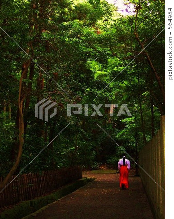 miko, avenues, path 564984