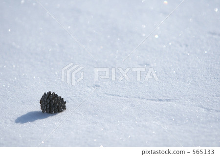 松球 積雪 凍結的字段 565133