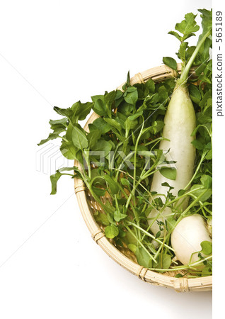 七種春天的草藥 七種春天的草藥 565189