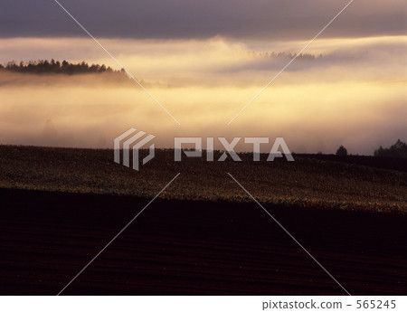 hill, rural districts, field 565245