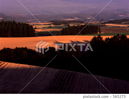 田園 田園風景 山丘 565273