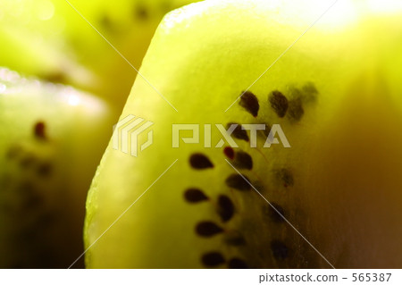 Kiwi Kiwi 565387