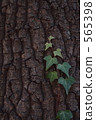 Tree and Tata 565398