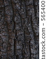 Wood face 565400