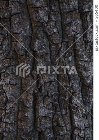 Wood face Wood face 565400