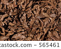 Dead leaves 565461