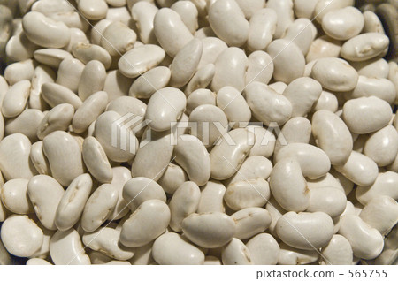 white runner bean, bean, beans 565755