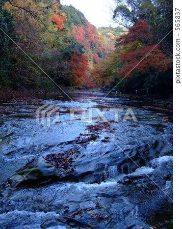 water surface, mountain stream, mountain torrent 565837