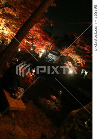 點燈 夜景 燈海 565898