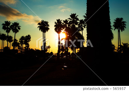 日落··洛杉磯風格（Zushi） 565937