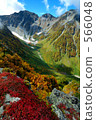 山 山稜 秋葉 566048