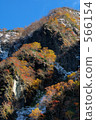初冬 早冬 山 566154
