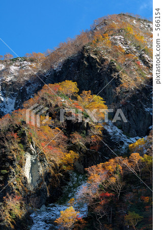 初冬 早冬 山 566154