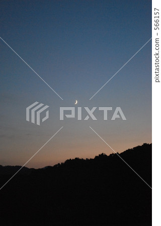 sunset, dusk, forest 566157