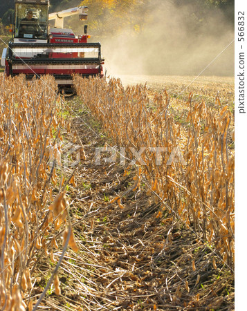 大豆收割機與聯合收割機 566832