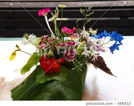 Flower arrangement (flower arrangement) Flower arrangement (flower arrangement) 566918