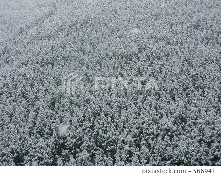 Get down with snow Get down with snow 566941