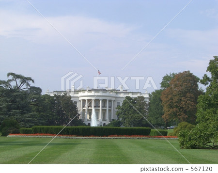 the White House, white house, whitehouse 567120