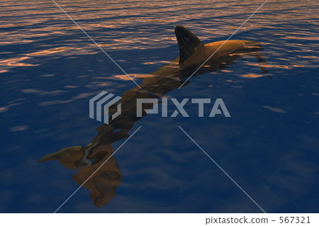 Digital dolphin 2 Digital dolphin 2 567321