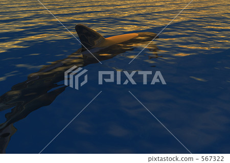 Digital dolphin 1 Digital dolphin 1 567322