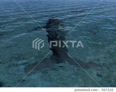 鯨魚5 567328