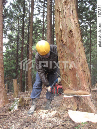 Turning work by chain saw 567884