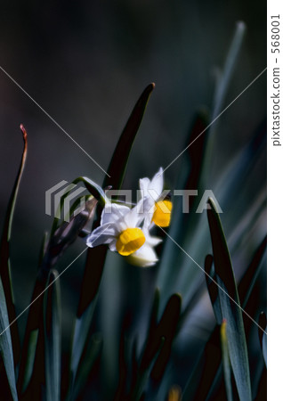 天 日 白天 568001