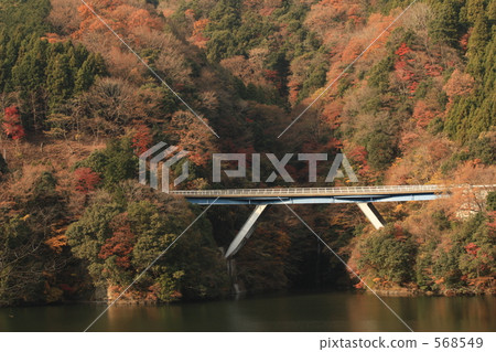 go-between, suspension bridge, lake tanzawa 568549