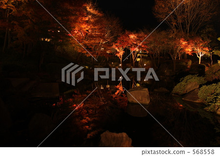 lit up, light up, rock 568558