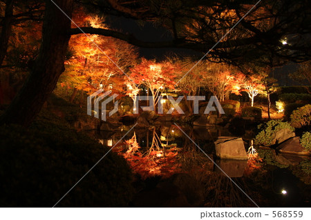 pond, lagoon, lit up 568559