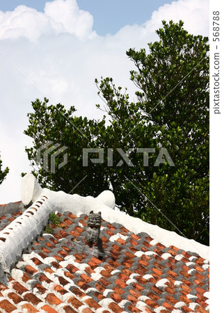 Sesokushima 1 568788