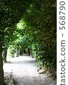 備瀨的福木樹 568790