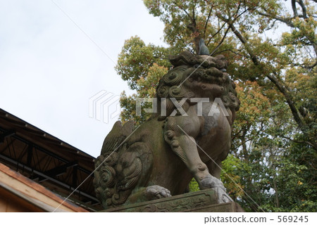 komainu, guardian lion-dogs, shrine 569245