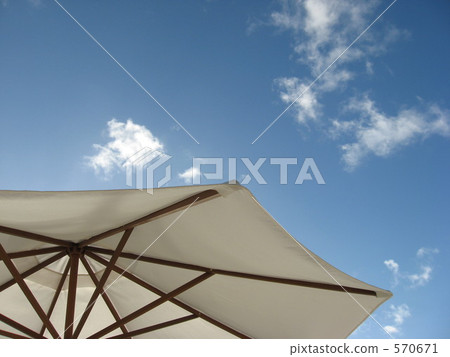 鈀金合金 太陽傘 陽傘 570671